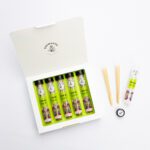 5 Pack Tangie Paper Cones