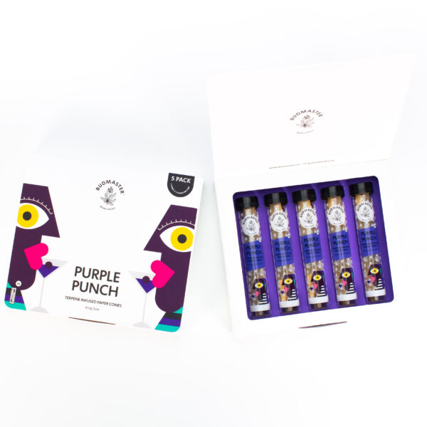 5 Pack Purple Punch Paper Cones