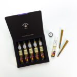 5 Pack Gelato Blunt Cones